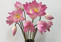 NHỮNG LỢI ÍCH HOA TƯƠI ĐEM LẠI