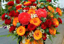 SHOP HOA TƯƠI GÒ ĐEN