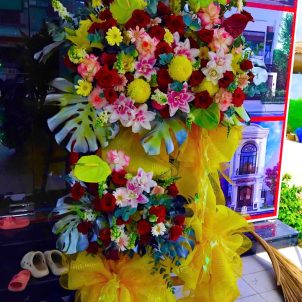 Hoa chúc mừng hội nghị - khai trương 11061