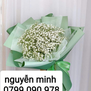 Hoa bó 19864