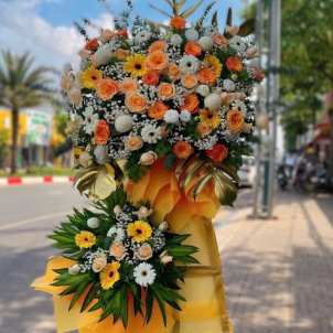 Hoa chúc mừng hội nghị - khai trương 54511