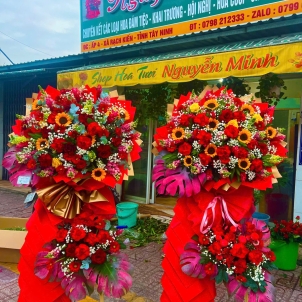 KỆ HOA CHÚC MỪNG HỘI NGHỊ - KHAI TRƯƠNG 11785