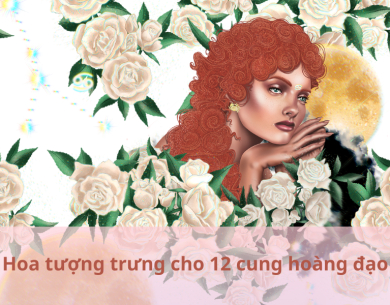 BÍ KÍP CHỌN HOA TƯƠI CHO 12 CUNG HOÀNG ĐẠO