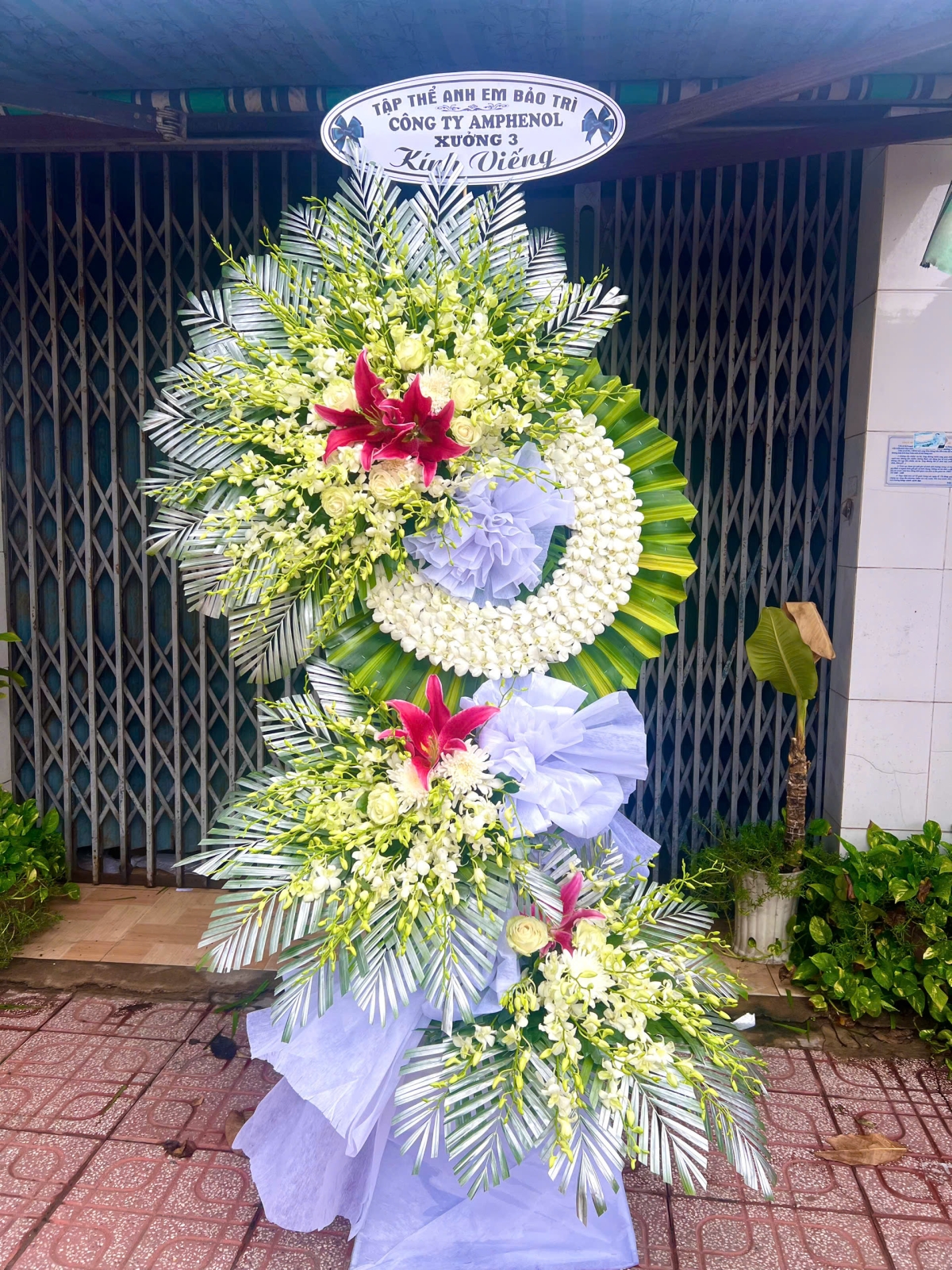 Hoa viếng 64528