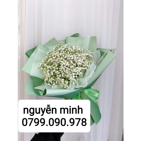 Hoa bó 19864