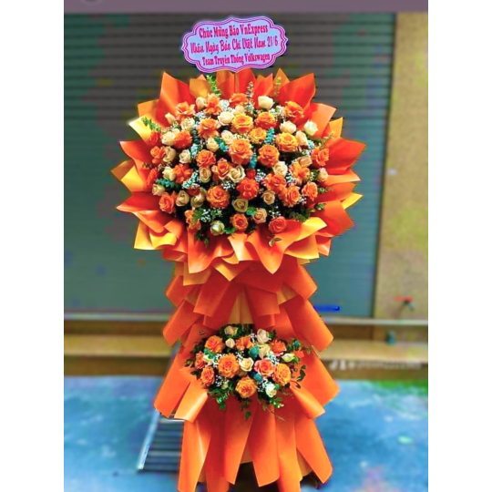 Hoa chúc mừng hội nghị - khai trương 49449
